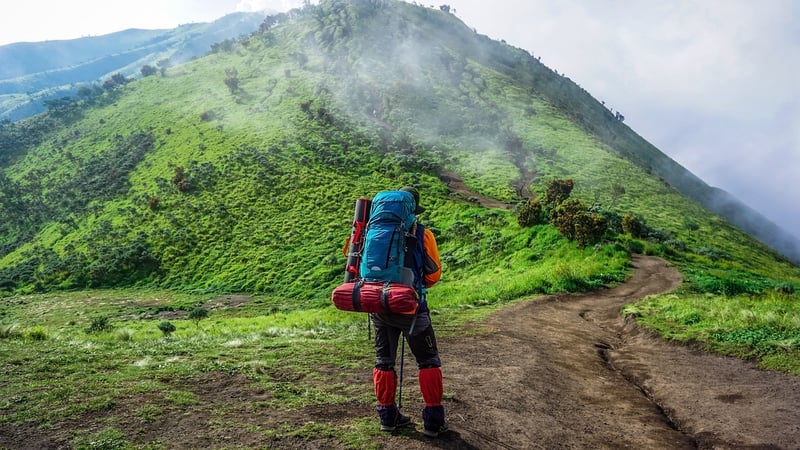 Hiking in the Wilderness